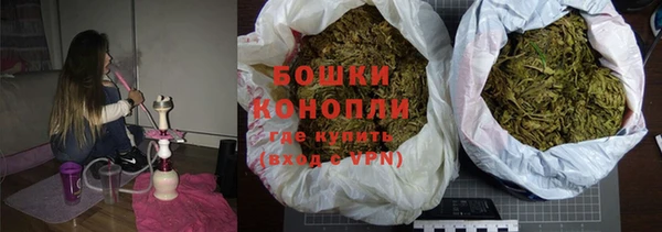 гидра Заводоуковск