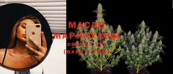 гидра Заводоуковск