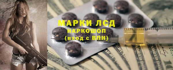 гидра Заводоуковск